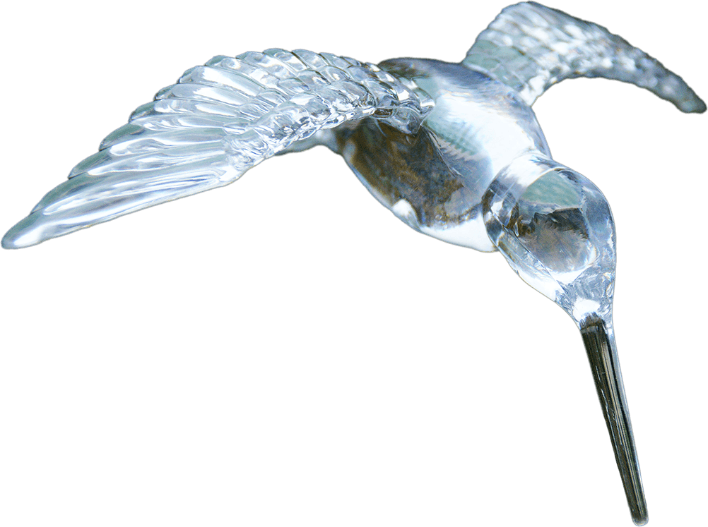 the-bird